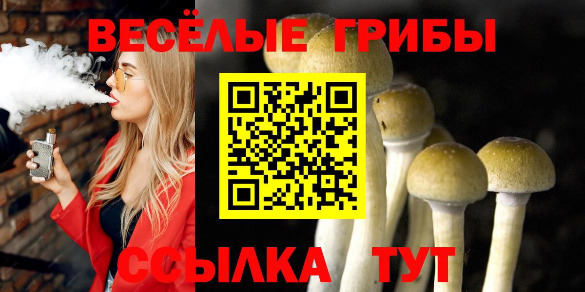 Псилоцибиновые грибы прущие грибы Орехово-Зуево